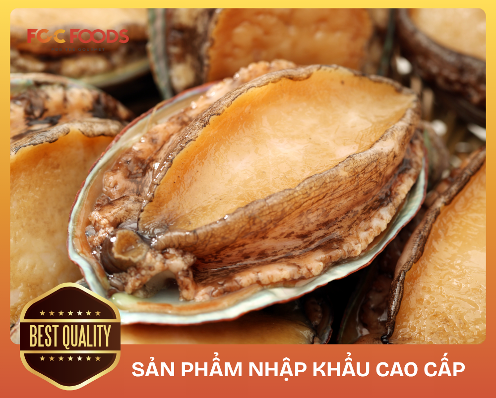 BÀO NGƯ NHẬP KHẨU