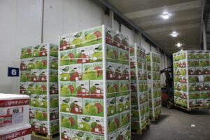FGC trên con đường mang trái cây Châu Âu tới người tiêu dùng Việt Nam